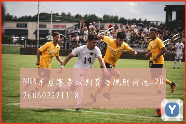 NBA季后赛争议判罚与规则讨论_20260603221118